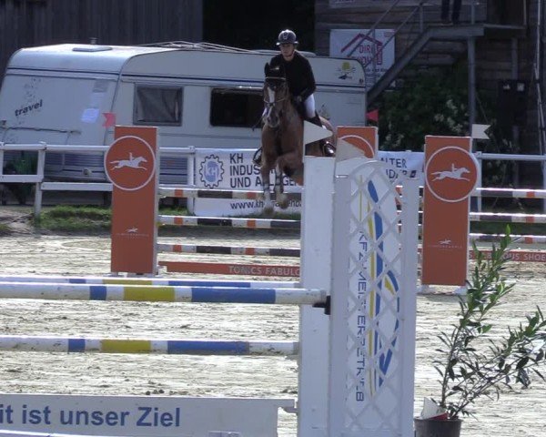 Reitturnier Siegen-Weidenau  2025