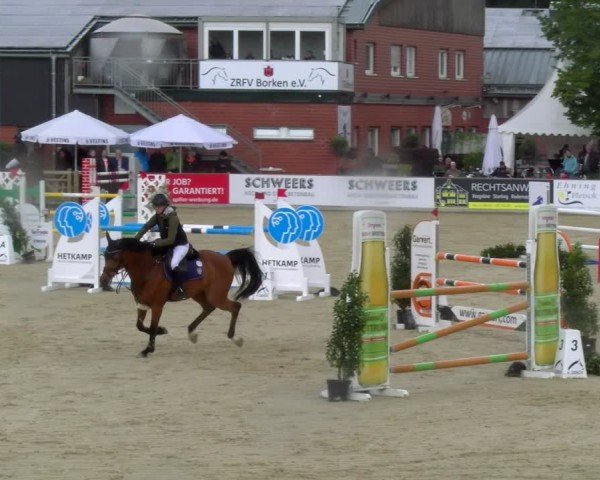 Reitturnier Borken 2025