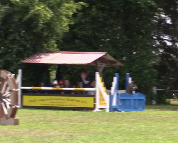 Reitturnier Wustrow 2025