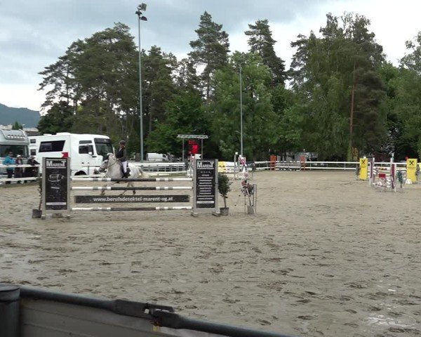 Reitturnier Bregenz 2025