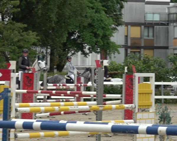 Reitturnier Bregenz 2025