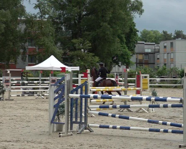 Reitturnier Bregenz 2025