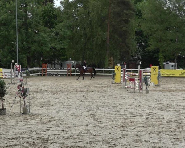 Reitturnier Bregenz 2025