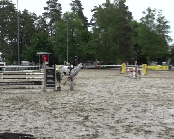 Reitturnier Bregenz 2025