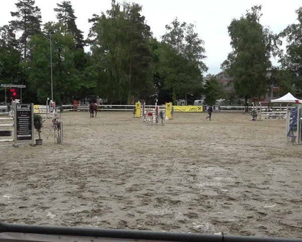 Reitturnier Bregenz 2025