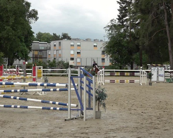 Reitturnier Bregenz 2025