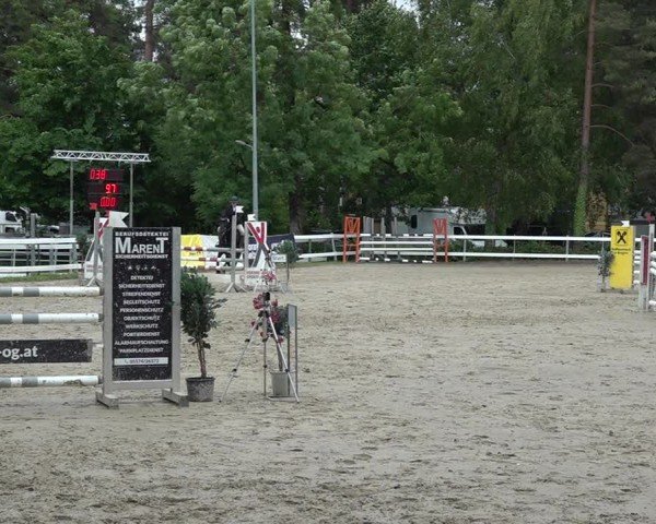Reitturnier Bregenz 2025