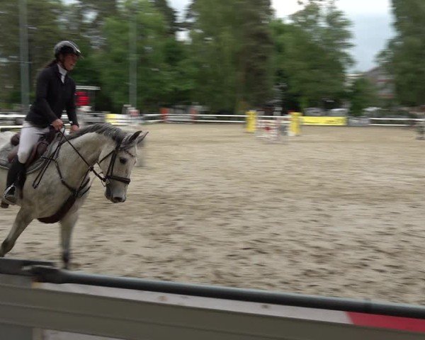 Reitturnier Bregenz 2025
