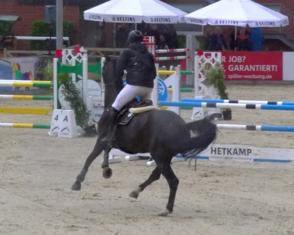 Reitturnier Borken 2025
