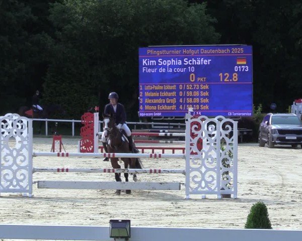 Reitturnier Siegen-Weidenau  2025