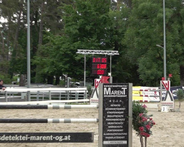 Reitturnier Bregenz 2025