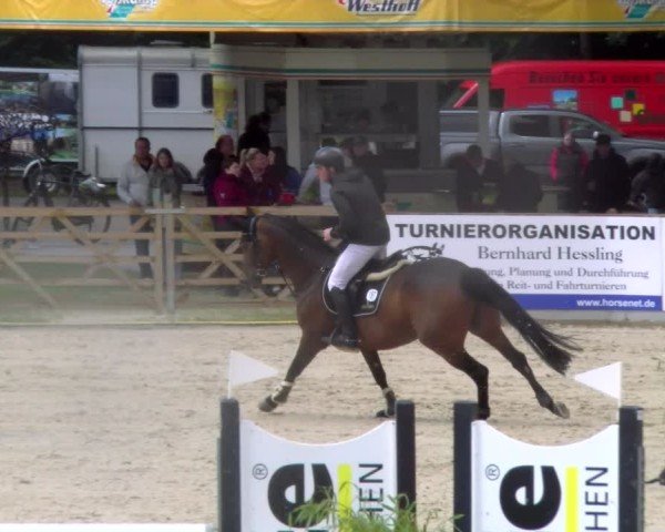 Reitturnier Borken 2025