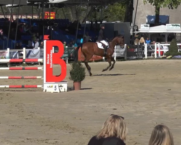 Reitturnier Werne-Lenklar 2014