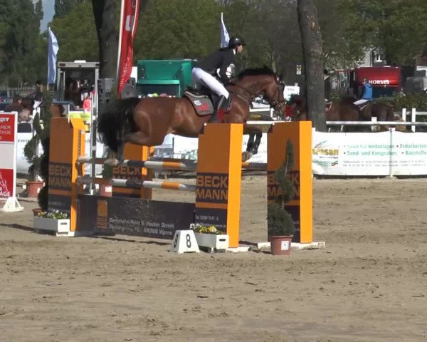 Lenklarer Reitertage 2014