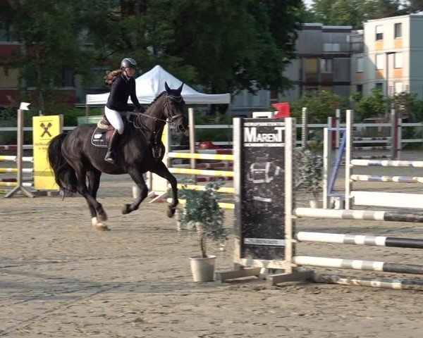 Reitturnier Bregenz 2025