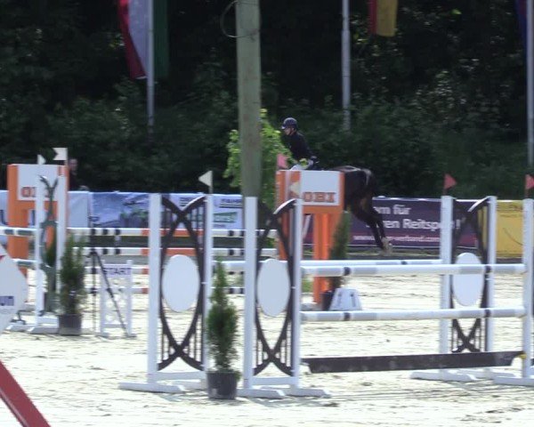 Reitturnier Siegen-Weidenau  2025