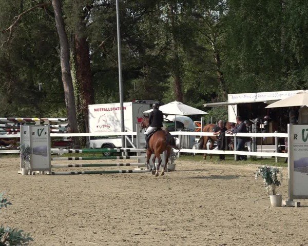 Reitturnier Bregenz 2025