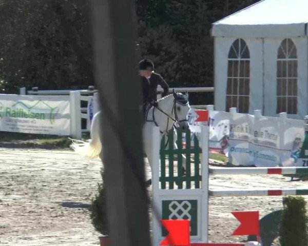 Lenklarer Reitertage 2014