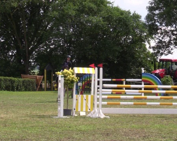 Reitturnier Wustrow 2025