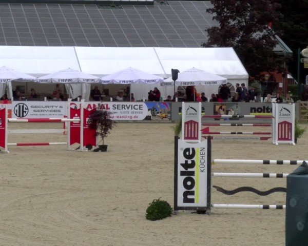 Reitturnier Borken 2025