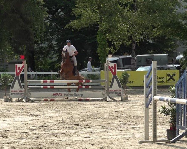 Reitturnier Bregenz 2025