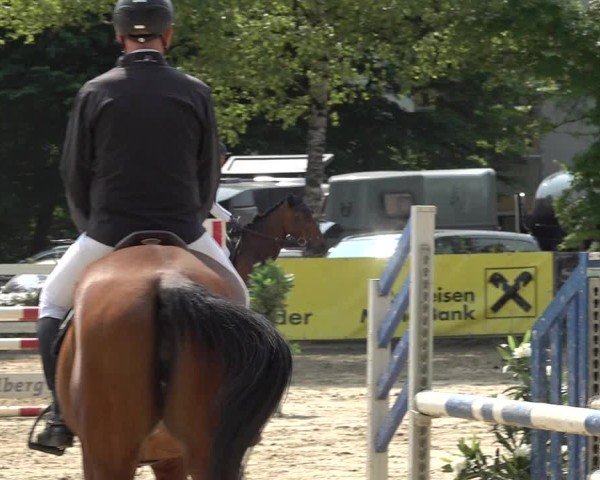 Reitturnier Bregenz 2025
