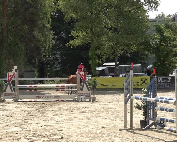Reitturnier Bregenz 2025