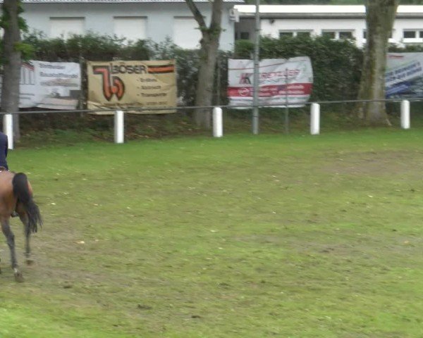 Reitturnier Forst 2025