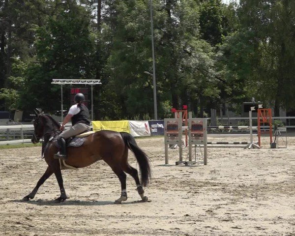 Reitturnier Bregenz 2025