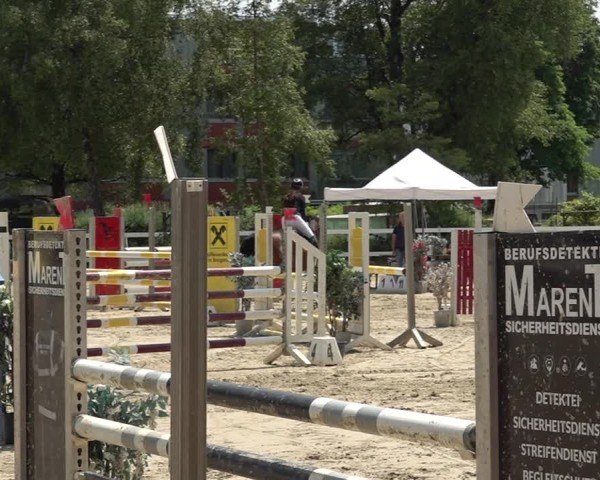 Reitturnier Bregenz 2025