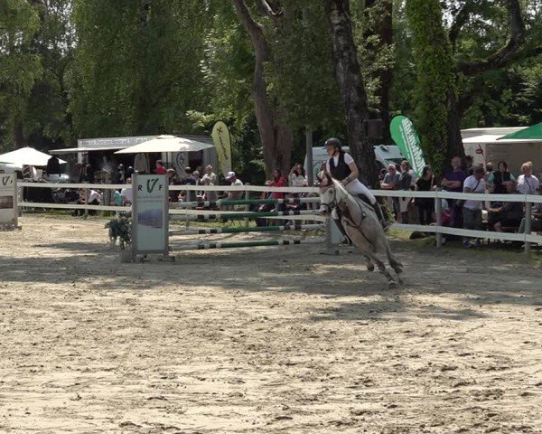 Reitturnier Bregenz 2025