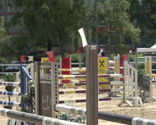 Reitturnier Bregenz 2025