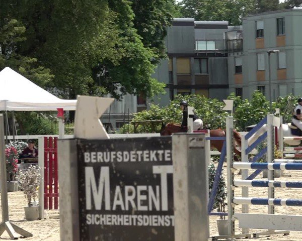 Reitturnier Bregenz 2025