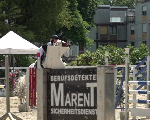 Reitturnier Bregenz 2025