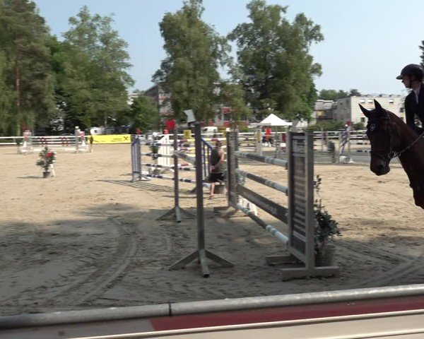 Reitturnier Bregenz 2025