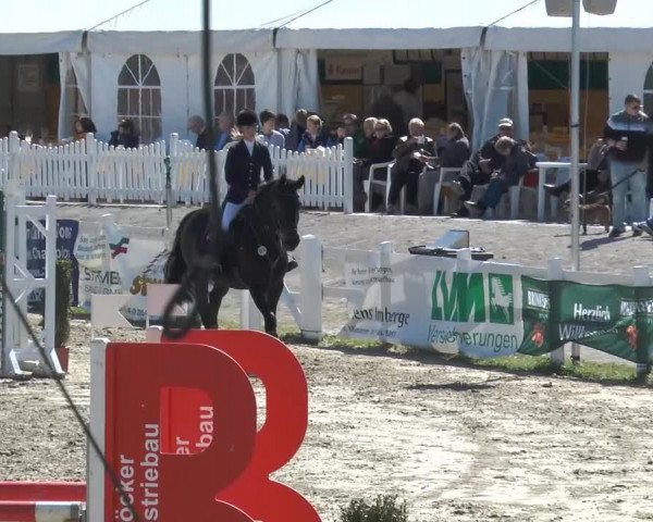 Lenklarer Reitertage 2014