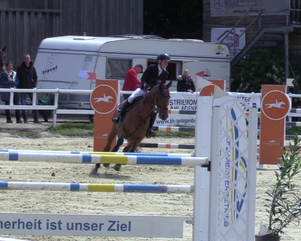 Reitturnier Siegen-Weidenau  2025