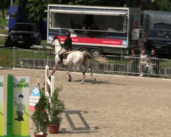 Reitturnier Fehraltorf 2025