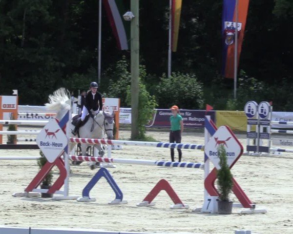 Reitturnier Siegen-Weidenau  2025