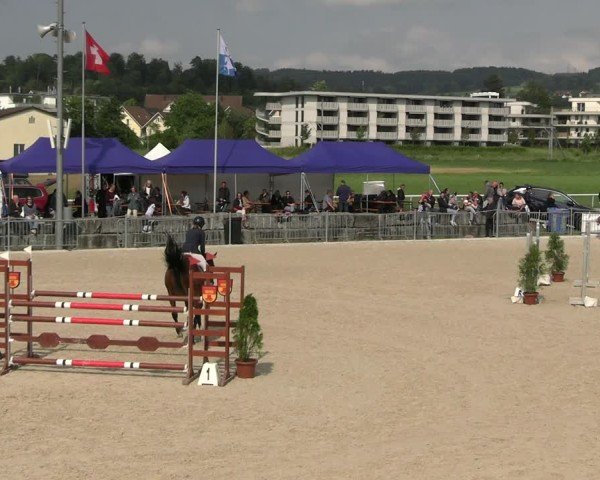 Reitturnier Fehraltorf 2025