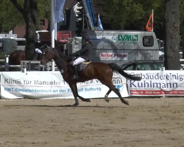 Lenklarer Reitertage 2014