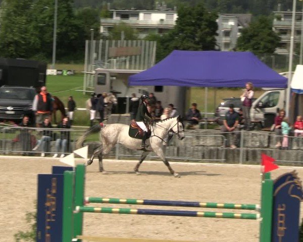 Reitturnier Fehraltorf 2025