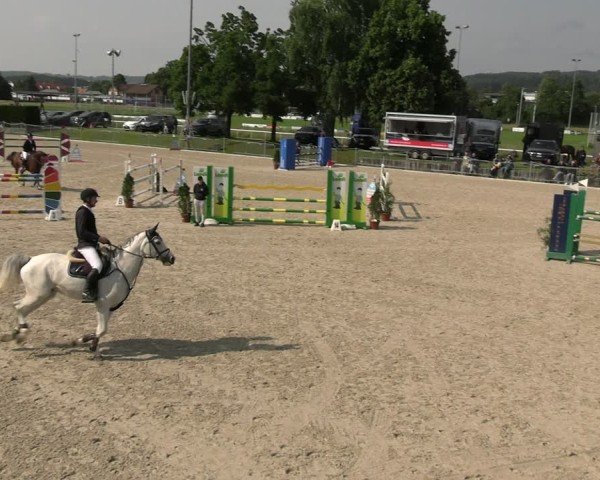 Reitturnier Fehraltorf 2025