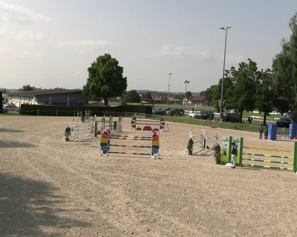 Reitturnier Fehraltorf 2025
