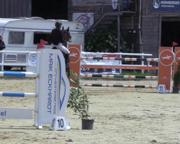 Reitturnier Siegen-Weidenau  2025