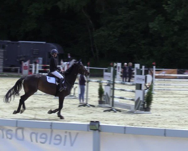 Reitturnier Siegen-Weidenau  2025
