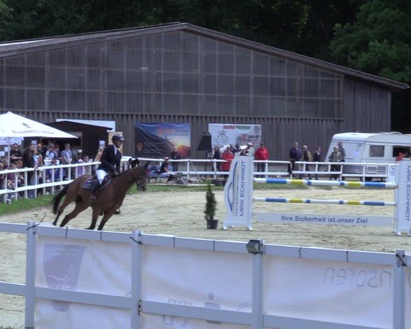 Reitturnier Siegen-Weidenau  2025