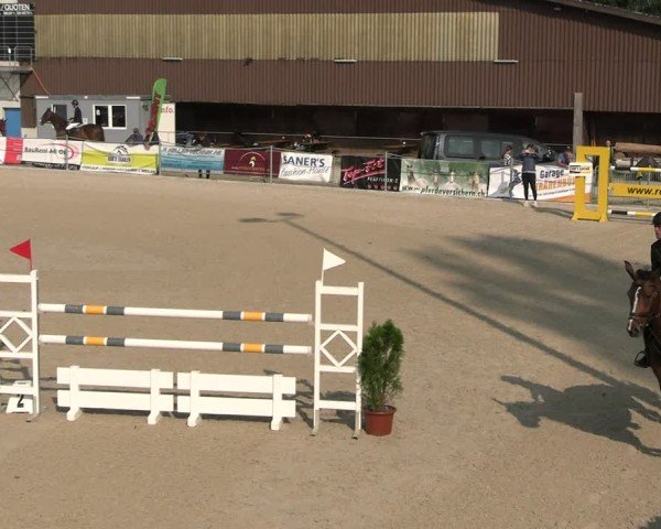 Reitturnier Fehraltorf 2025