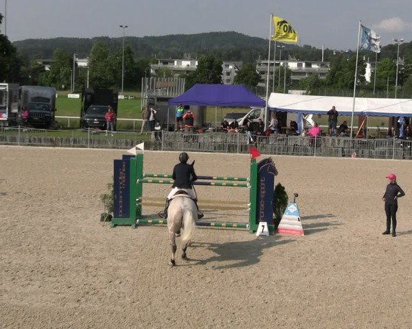 Reitturnier Fehraltorf 2025
