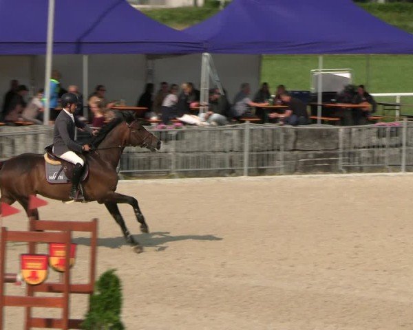 Reitturnier Fehraltorf 2025